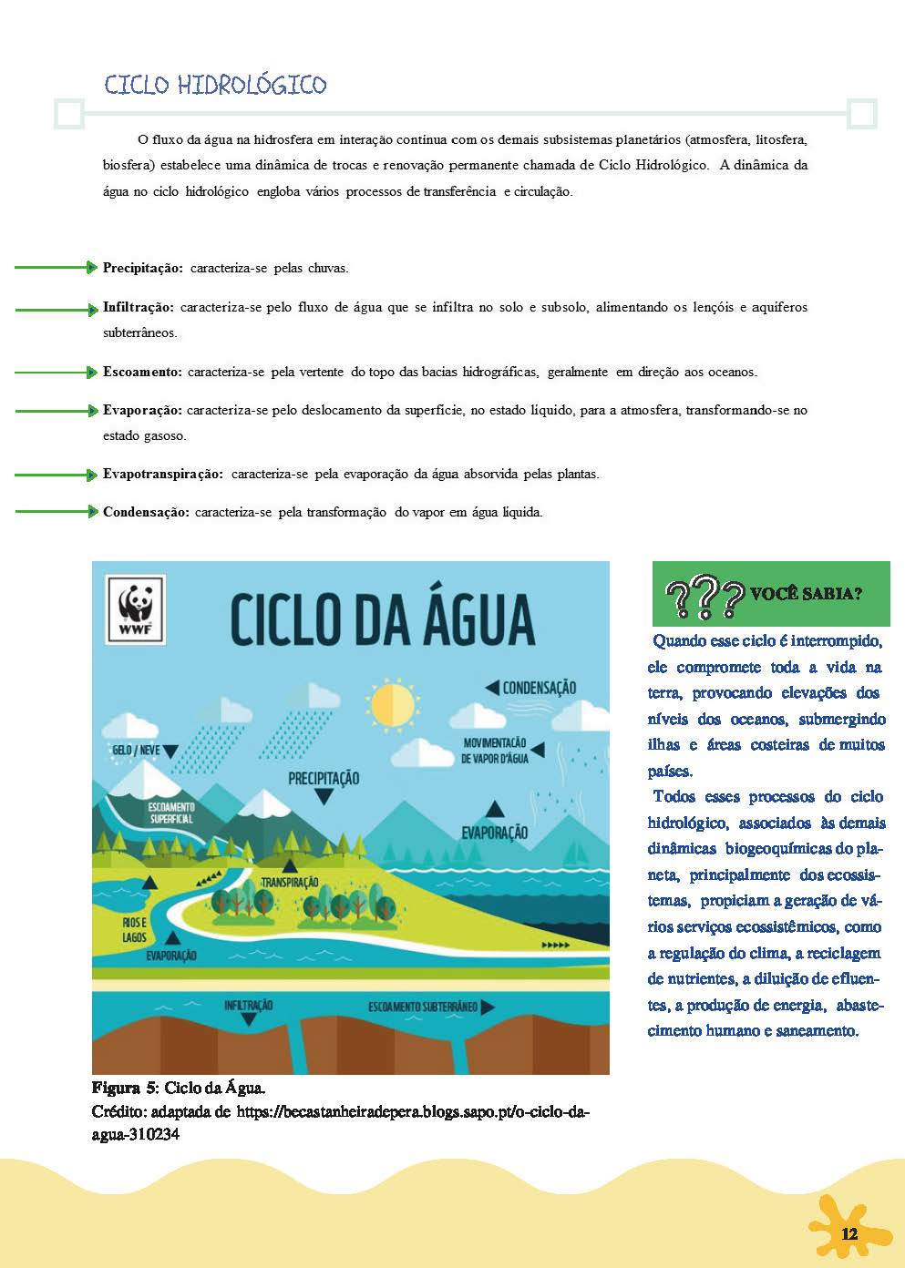 Figuras_Pagina_12.jpg