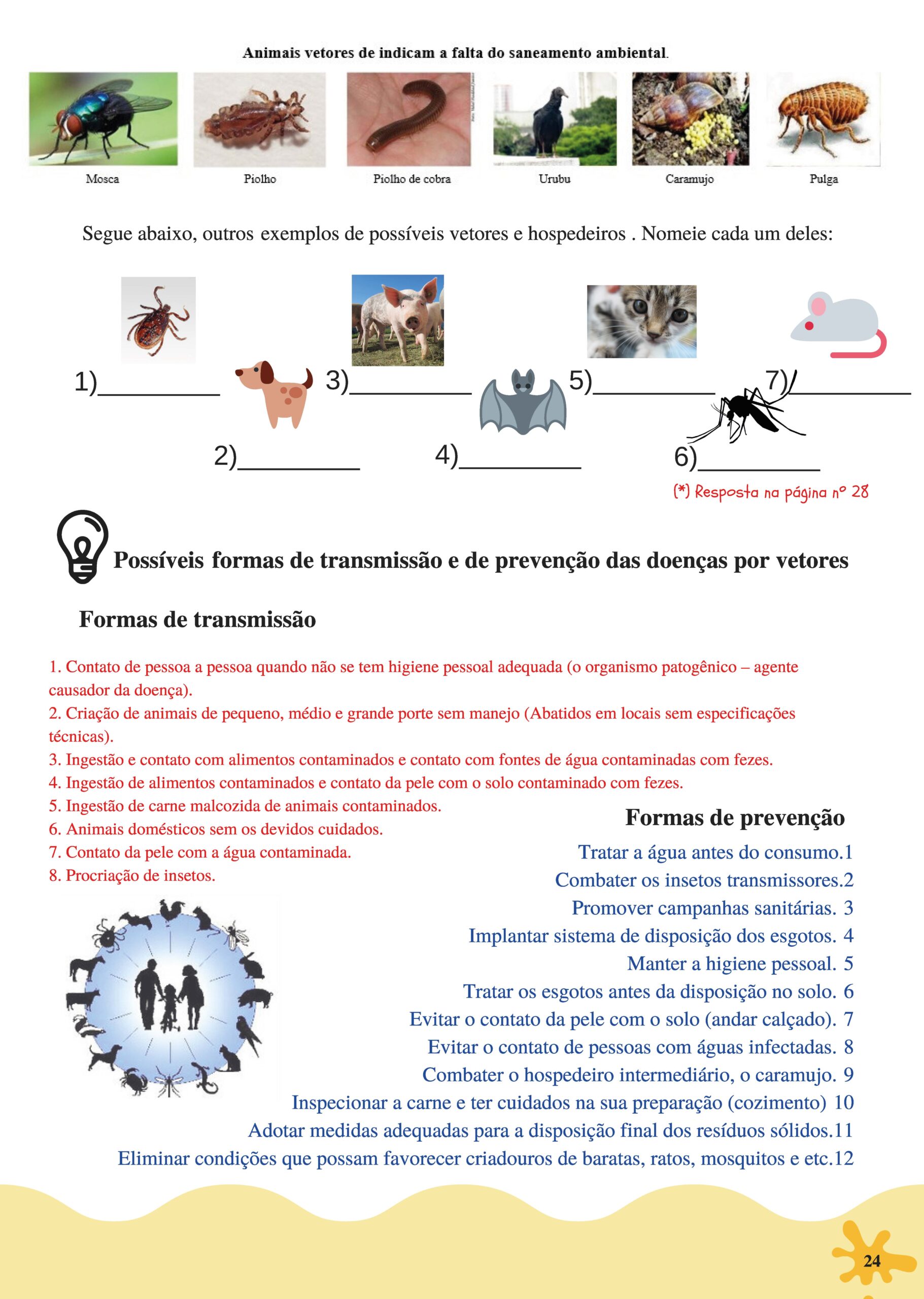 Figuras_Pagina_24-scaled.jpg